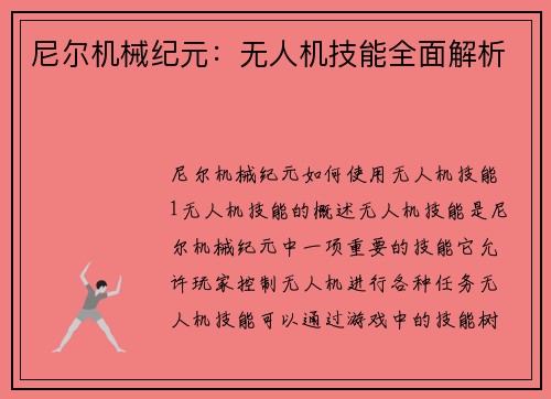 尼尔机械纪元：无人机技能全面解析