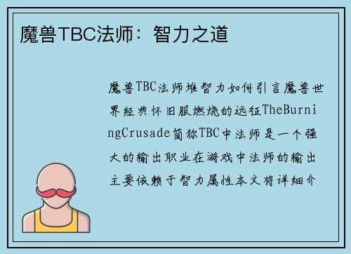 魔兽TBC法师：智力之道