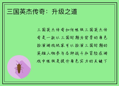 三国英杰传奇：升级之道