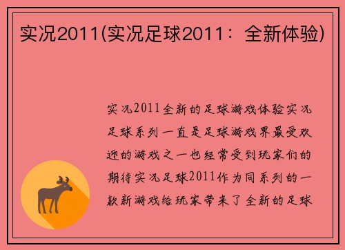 实况2011(实况足球2011：全新体验)
