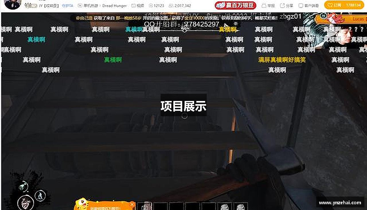 项目展示